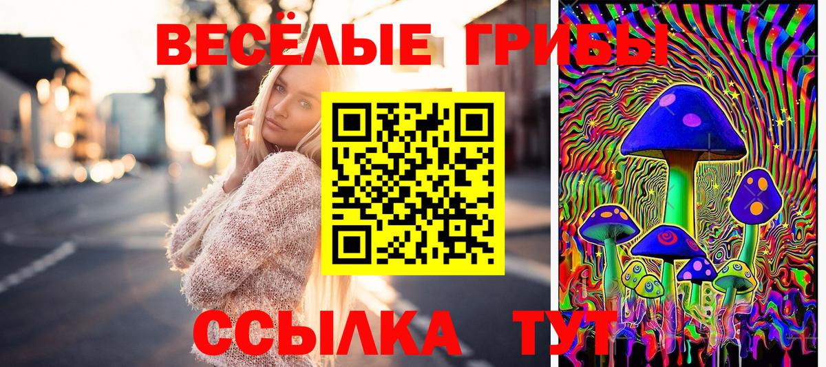 Апшеронск  Галлюциногенные грибы Psilocybe  Вход с VPN  Псилоцибиновые грибы Magic Shrooms 